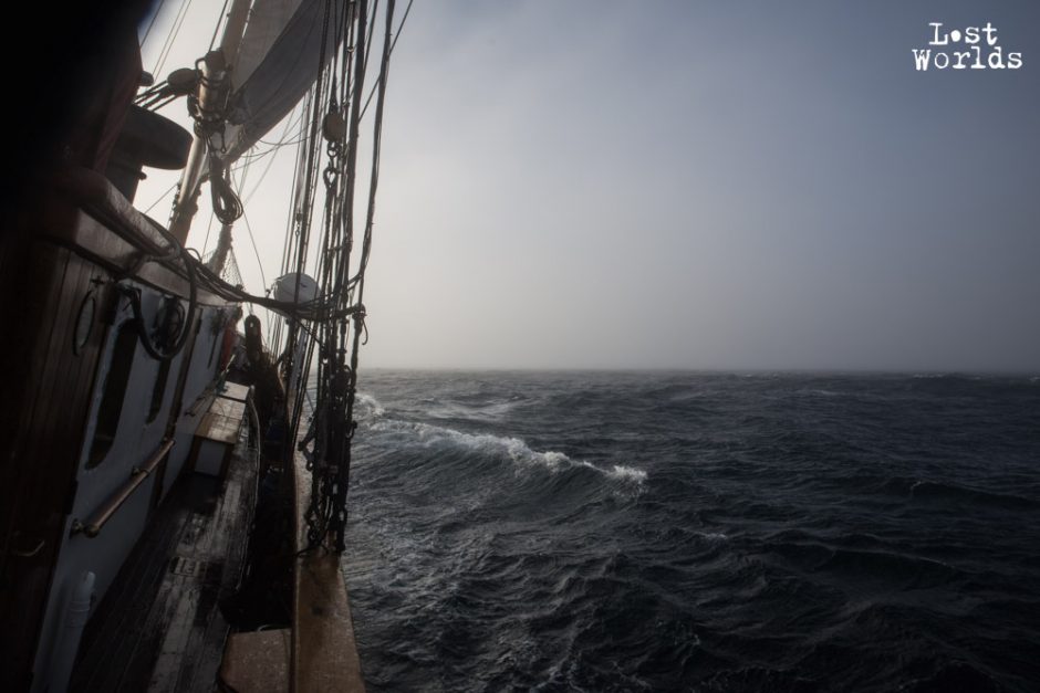 Le Donna Wood dans la mer du Groenland  (Crédit Photo Yann Bigant / Naturevolution)