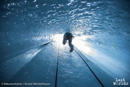 Une contre-plongée vertigineuse (Photo Evrard Wendenbaum / Naturevolution)