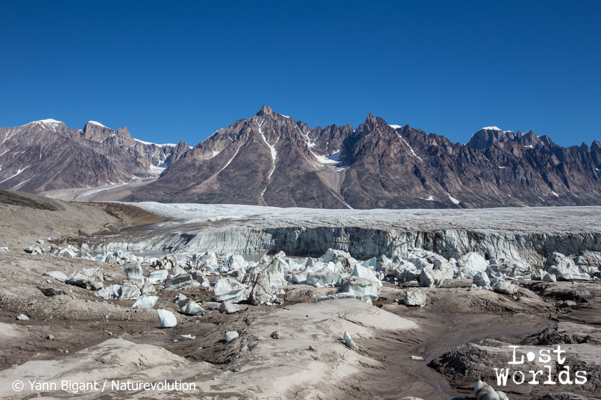 Apusinikajik glacer and the icebergs it left on the sand, near Camp 1.