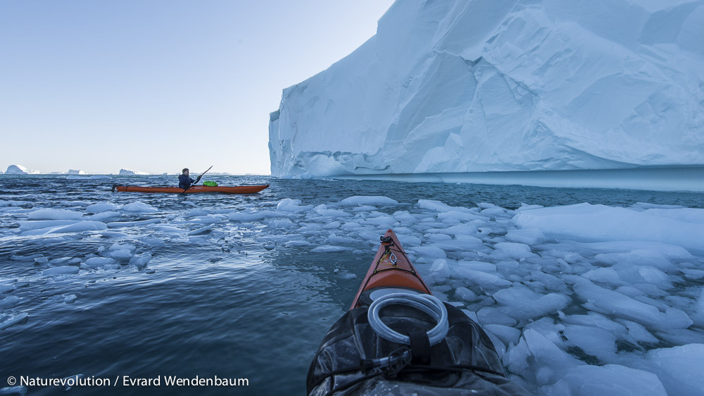 iceberg