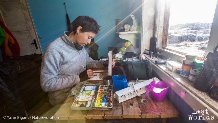 Abritée du vent dans la cabane de Sydkap, Aurélie peaufine ses dessins de la journée.